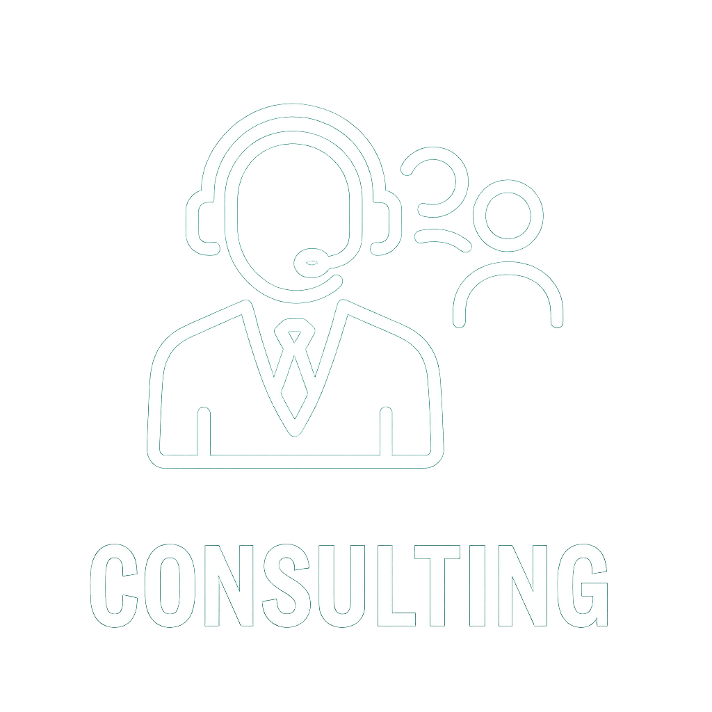 IT Consulting